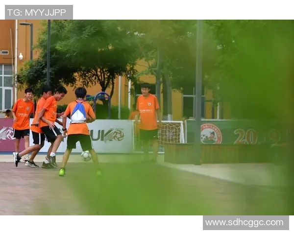 足球初恋的青春回忆与梦想追逐之旅